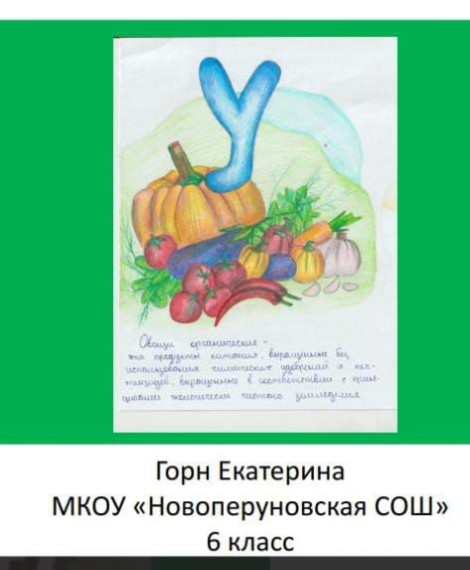 Подведены итоги конкурса «Органика».
